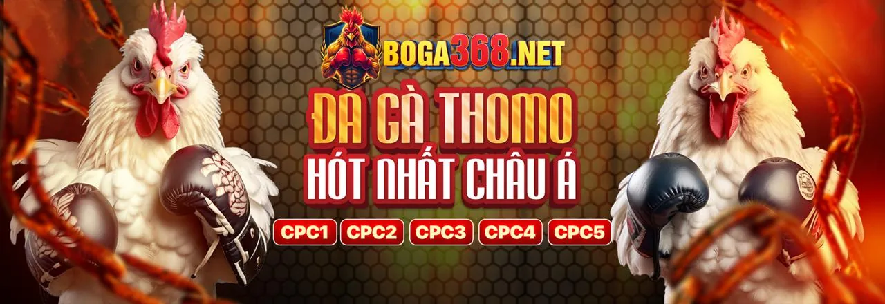 Hệ Thống Bảo Mật VMN