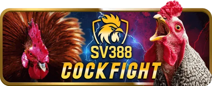 Chương Trình VIP VMN